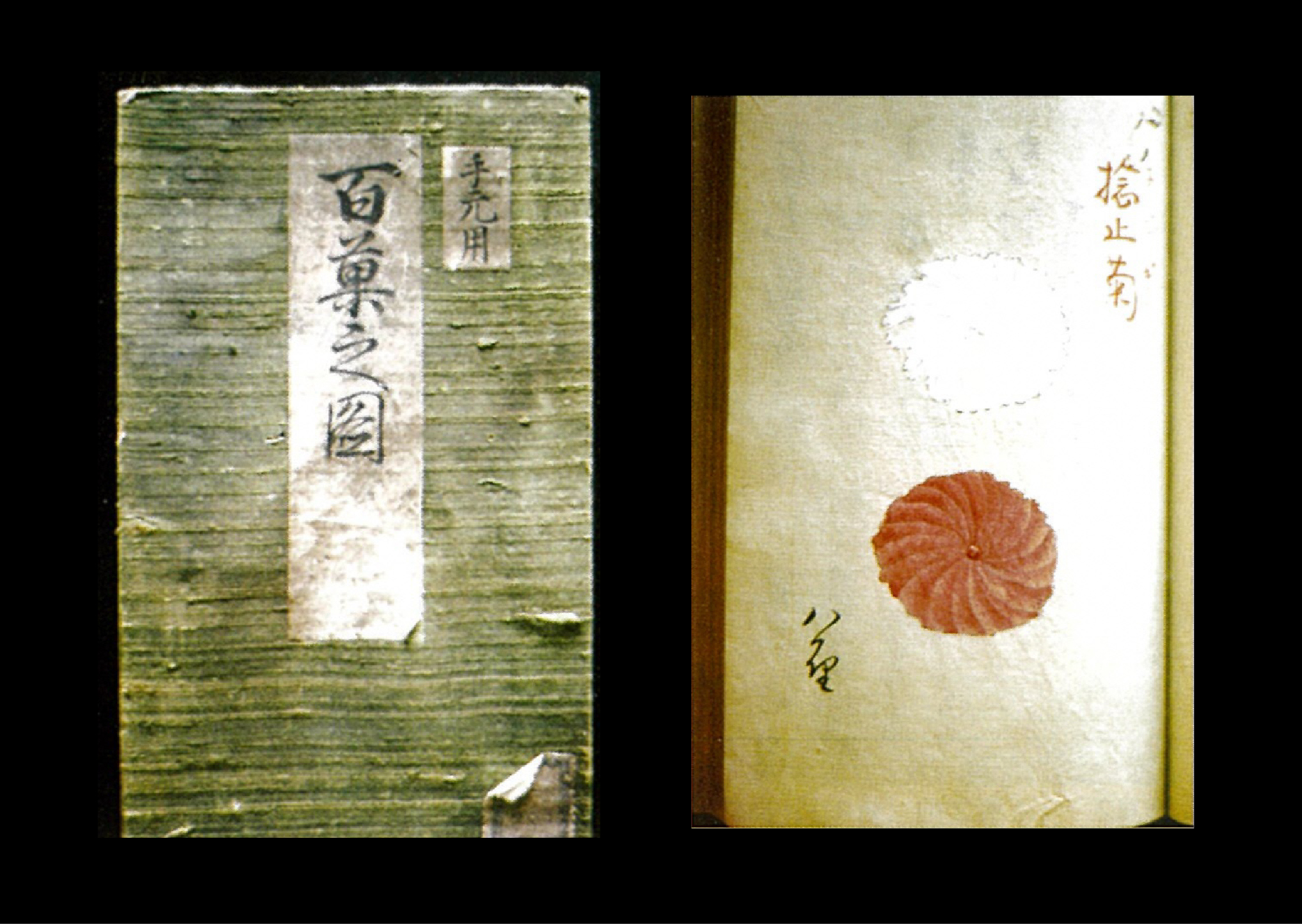 平戸菓子