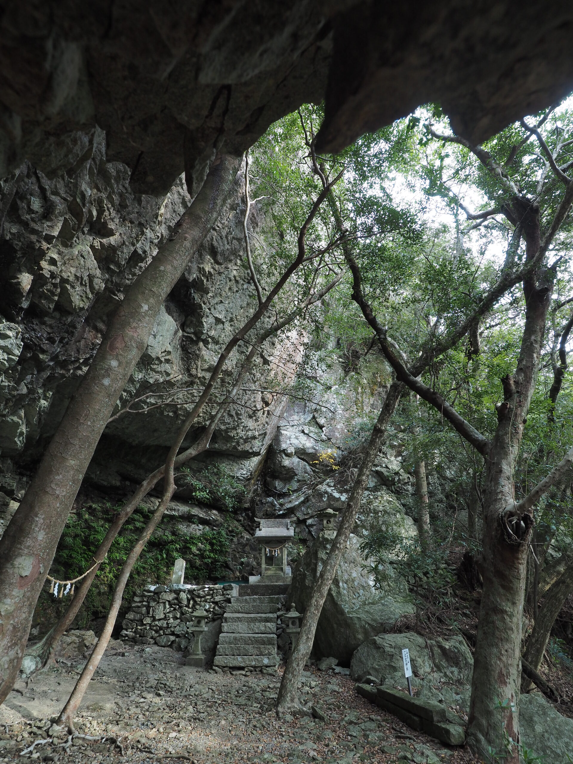 遣唐使の道を辿るツアー
