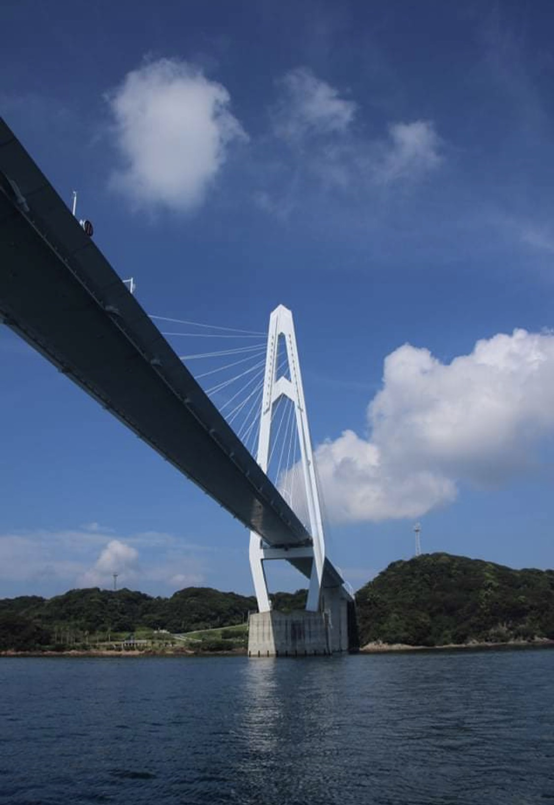 西海市の橋と歴史を巡るクルーズガイドツアー