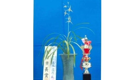 寒蘭展（一次展・二次展）